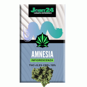 Joint24 – AMNESIA 1/2,5g
