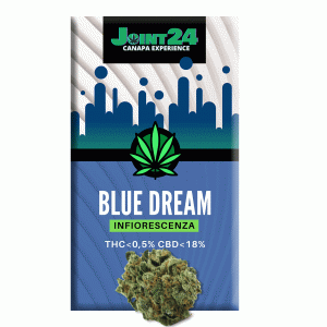 Joint24 – BLUE DREAM 1/2,5g