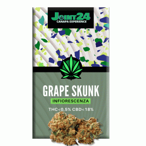 Joint24 - GRAPE SKUNK 1/2,5g