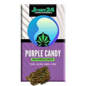 Joint24 - PURPLE CANDY 1/2,5g