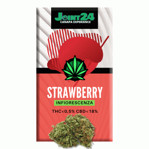 Joint24 - STRAWBERRY 1/2,5g
