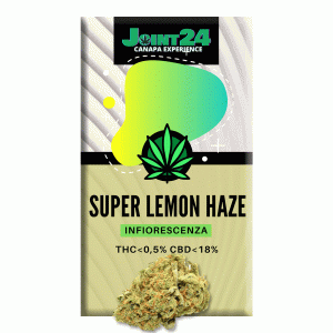 Joint24 – SUPER LEMON HAZE 1/2,5g