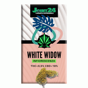 Joint24 – WHITE WIDOW 1/2,5g