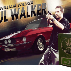 Legal Weed - Paul Walker - 1g