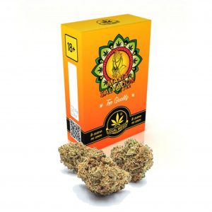 Legal Weed - Maria Salvador Top Quality