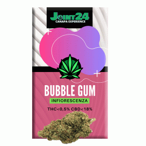 Joint24 - BUBBLE GUM 1/2,5g