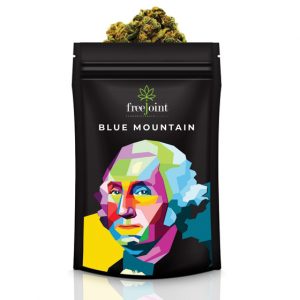FreeJoint - Blue Mountain - George Washington 2g