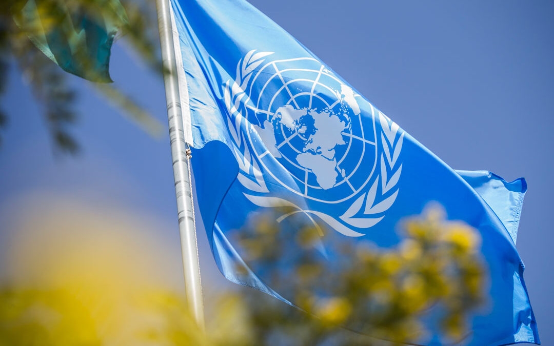 Vittoria all’Onu: per la prima volta riconosciuto il valore terapeutico della cannabis