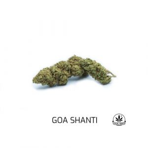 Legal Weed - Goa Shanti - 1gr