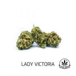 Legal Weed - Lady Victoria - 1 gr