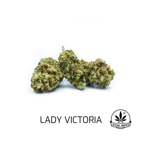 Legal Weed - Lady Victoria - 1 gr