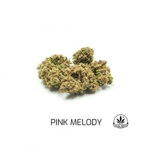 Legal Weed - Pink Melody - 1 gr