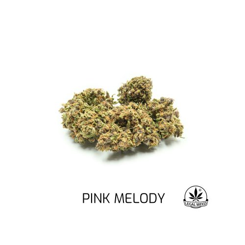 Legal Weed - Pink Melody - 1 gr