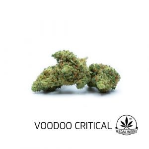 Legal Weed - Voodoo Critical - 1 gr