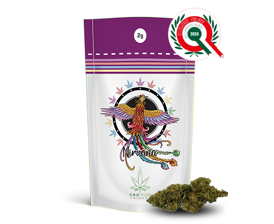 CBD PLUS - Nirvana 2g